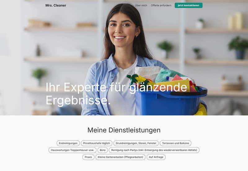 onyx-projects-mrs-cleaner
